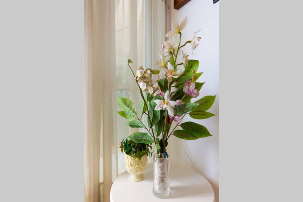 Vintage Style Apartment With Beautiful Backyard Athen Eksteriør bilde